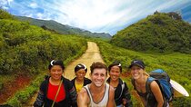 Sapa Trekking 3days/2nights from Hanoi by Limousine Roundtrip