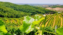 Vineyards, Albanian Wine Food Tasting Tour from Durres/Tirana
