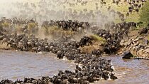  3 Days 2Nights Group Joining Maasai Mara Safari by a 4 x4 jeep