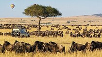 3 Days 2 Nights Masai Mara National Reserve Tour 4*4 Vehicle