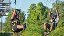 Zipline Canopy, Horseback Ride and Catamaran Cruise Experience