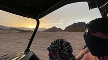 Arabian safari Life 
