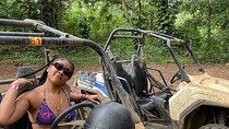 ATV Safari, Horseback Ride and Blue Hole Falls Experience 