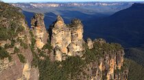 Private Luxury Blue Mountain Tour with Wildlife and River Cruise