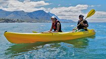 Kayak in Hout Bay 