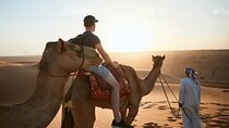 Private Full Day Tour Desert Dunes, Camels, and Wadi Bani Khalid