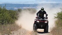 Half day Quad ride