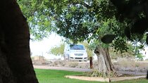 Algarve Private Tour