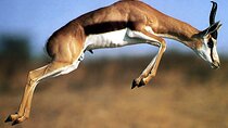 5-Day Private Tour Mikumi National Park and Selous Game Reserve