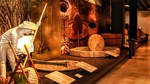 Ticket to the Tequila and Mezcal Museum and tasting