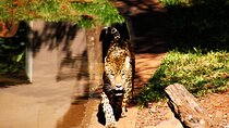 Itaipu Dam with Wild Animals Eco Retreat
