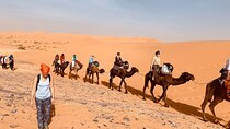 Camels Ride and Camping at Moroccan Sahara Desert