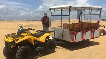 Port City Beach Safari