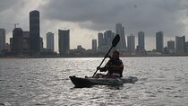 2 Hour Private Kayaking at Port City of Colombo