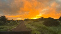 Overnight Safari in Lake Nakuru Park and Lake Naivasha.