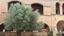 In Crete Discover the miracle of Olive Oil and Organic Fruits