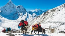 Everest Base Camp Trekking 16 Days 