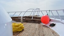 Private Yacht Full Day in Sharm El Sheikh