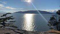 Lighthouse Park Hike 
