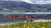 Sea Kayaking Rental