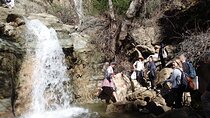 Nature Walk/Hike Tour near Disneyland: ID plants & wildlife