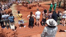 Full-Day Nairobi Circuit Private and Guided Tour