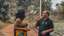 7 Days Private Culture and Culinary Tour