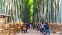 Kyoto's Arashiyama Bamboo Grove: 3-Hour Guided Tour