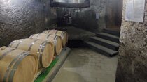 Vesuvius wine tasting with company tour