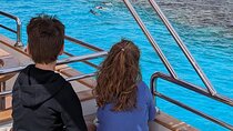 Swim with Dolphins : Snorkeling Adventure at Satayeh Reef
