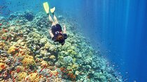 Giftun Island Snorkeling at Hurghada, Red Sea