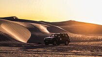 Half-Day Sand Dune Safaris in Cape Town
