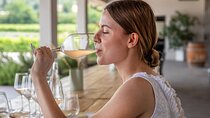 Bardolino Wine Experience