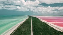 Full Day Tour to Coloradas & Rio Lagartos