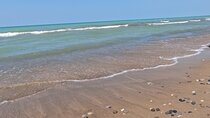 Full-Day Beach Day at Grand Bend