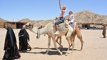 Adrenaline Full Day Safari By ATV quad with Dinner and Night Show