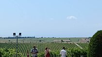 Wine Tasting Experience from Thessaloniki