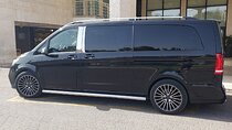 Package VIP Skip Line Services in BGN Airport with Transfer to Tel aviv Hotels