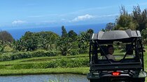  Waipi’o on Horseback: Mountain Ocean Views Working Cattle Ranch