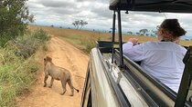 3 Days Mikumi National Park Private Tour