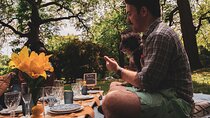 2-Hour Private Outdoor Picnics Set up in Philadelphia
