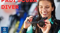 PADI Scuba Dive Course in Costa Adeje 