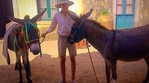 Durrells story half day