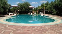 Day pool lunch and camel around Marrakech