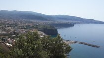 Sorrento Private Transfer from Naples with Visit to Pompeii