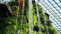 The Green Planet Dubai tickets with Private transfer