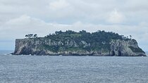 Private Full-day Package Tour - South & East of jeju island
