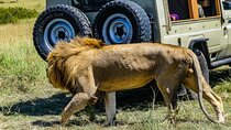 3 Days Private Masai Mara Safari
