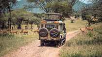 Day Trip Safari from Zanzibar to Mikumi National Park