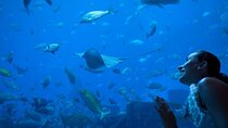 Barcelona City Tour Hop-On Hop-Off and Aquarium 